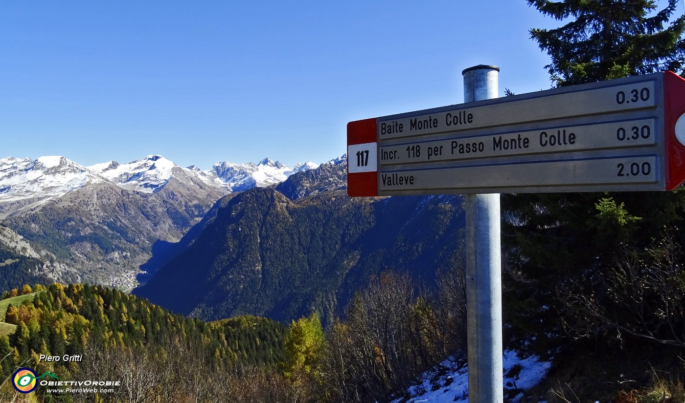 26 Mezz'ora per il Monte Colle....JPG -                                